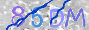 To prevent spam, please prove you are a real person by typing the characters you see in this box into the box below.