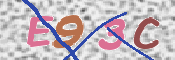 To prevent spam, please prove you are a real person by typing the characters you see in this box into the box below.
