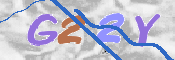 To prevent spam, please prove you are a real person by typing the characters you see in this box into the box below.
