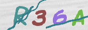 To prevent spam, please prove you are a real person by typing the characters you see in this box into the box below.