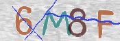 To prevent spam, please prove you are a real person by typing the characters you see in this box into the box below.