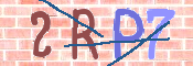 To prevent spam, please prove you are a real person by typing the characters you see in this box into the box below.