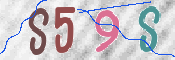 To prevent spam, please prove you are a real person by typing the characters you see in this box into the box below.