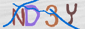 To prevent spam, please prove you are a real person by typing the characters you see in this box into the box below.