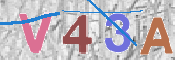 To prevent spam, please prove you are a real person by typing the characters you see in this box into the box below.