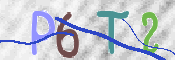 To prevent spam, please prove you are a real person by typing the characters you see in this box into the box below.