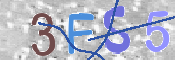 To prevent spam, please prove you are a real person by typing the characters you see in this box into the box below.