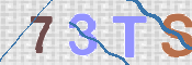 To prevent spam, please prove you are a real person by typing the characters you see in this box into the box below.