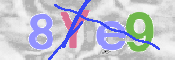 To prevent spam, please prove you are a real person by typing the characters you see in this box into the box below.