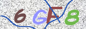 To prevent spam, please prove you are a real person by typing the characters you see in this box into the box below.