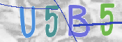 To prevent spam, please prove you are a real person by typing the characters you see in this box into the box below.