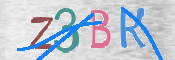 To prevent spam, please prove you are a real person by typing the characters you see in this box into the box below.