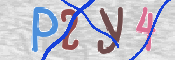 To prevent spam, please prove you are a real person by typing the characters you see in this box into the box below.