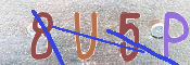 To prevent spam, please prove you are a real person by typing the characters you see in this box into the box below.