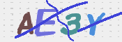 To prevent spam, please prove you are a real person by typing the characters you see in this box into the box below.