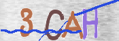 To prevent spam, please prove you are a real person by typing the characters you see in this box into the box below.