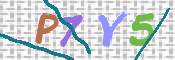 To prevent spam, please prove you are a real person by typing the characters you see in this box into the box below.