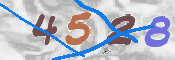 To prevent spam, please prove you are a real person by typing the characters you see in this box into the box below.