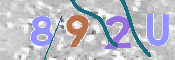 To prevent spam, please prove you are a real person by typing the characters you see in this box into the box below.