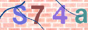 To prevent spam, please prove you are a real person by typing the characters you see in this box into the box below.