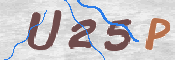 To prevent spam, please prove you are a real person by typing the characters you see in this box into the box below.