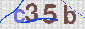 To prevent spam, please prove you are a real person by typing the characters you see in this box into the box below.