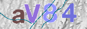 To prevent spam, please prove you are a real person by typing the characters you see in this box into the box below.