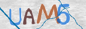 To prevent spam, please prove you are a real person by typing the characters you see in this box into the box below.