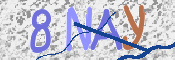 To prevent spam, please prove you are a real person by typing the characters you see in this box into the box below.