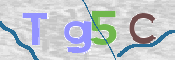 To prevent spam, please prove you are a real person by typing the characters you see in this box into the box below.