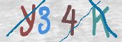 To prevent spam, please prove you are a real person by typing the characters you see in this box into the box below.