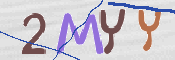 To prevent spam, please prove you are a real person by typing the characters you see in this box into the box below.