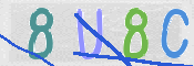 To prevent spam, please prove you are a real person by typing the characters you see in this box into the box below.
