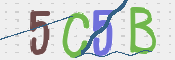 To prevent spam, please prove you are a real person by typing the characters you see in this box into the box below.