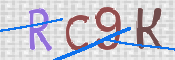 To prevent spam, please prove you are a real person by typing the characters you see in this box into the box below.