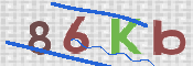 To prevent spam, please prove you are a real person by typing the characters you see in this box into the box below.