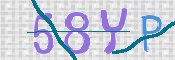 To prevent spam, please prove you are a real person by typing the characters you see in this box into the box below.