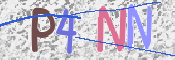 To prevent spam, please prove you are a real person by typing the characters you see in this box into the box below.