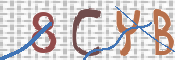 To prevent spam, please prove you are a real person by typing the characters you see in this box into the box below.