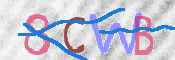 To prevent spam, please prove you are a real person by typing the characters you see in this box into the box below.