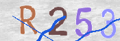 To prevent spam, please prove you are a real person by typing the characters you see in this box into the box below.