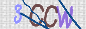 To prevent spam, please prove you are a real person by typing the characters you see in this box into the box below.