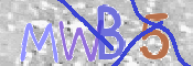 To prevent spam, please prove you are a real person by typing the characters you see in this box into the box below.
