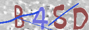 To prevent spam, please prove you are a real person by typing the characters you see in this box into the box below.