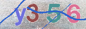 To prevent spam, please prove you are a real person by typing the characters you see in this box into the box below.
