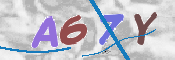 To prevent spam, please prove you are a real person by typing the characters you see in this box into the box below.