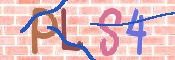 To prevent spam, please prove you are a real person by typing the characters you see in this box into the box below.