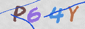 To prevent spam, please prove you are a real person by typing the characters you see in this box into the box below.