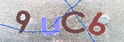To prevent spam, please prove you are a real person by typing the characters you see in this box into the box below.