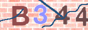 To prevent spam, please prove you are a real person by typing the characters you see in this box into the box below.